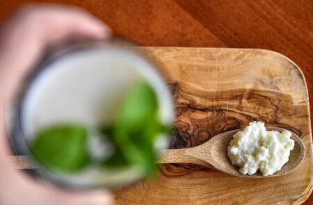 Close-up blurred shot of a glass full of kefir with mint leaves, a wooden spoon full of Kefir granules in the clear backgroundの写真素材