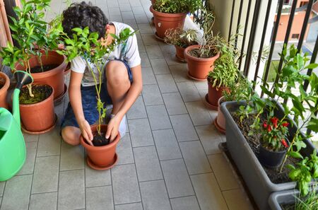 A young Caucasian boy is preparing to pot a blueberry plant. He holds it in the center of the vase, which is already partially filled with soil, waiting for it to be filled.の写真素材