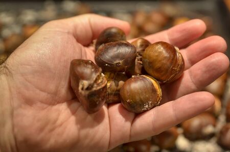 One hand contains a handful of roasted chestnuts. In the background, very blurred, a metal pan full...