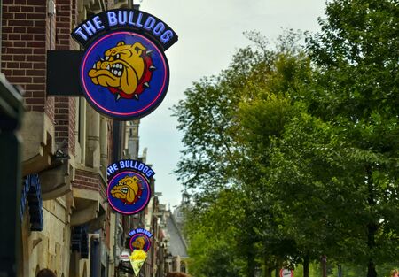 Amsterdam, Holland. August 2019. In the red light district The Bulldog is the most famous coffeeshop. Characteristic is the sign with the dog with the spying collar.のeditorial素材