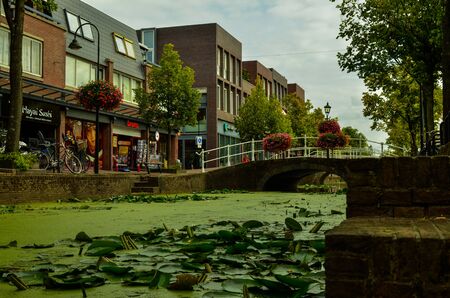 Delft, the netherlands, august 2019. The pretty and romantic canals, smaller than in Amsterdam. The aquatic plants create a green carpet, the bridges frame the flower boxes in warm and bright colors.のeditorial素材
