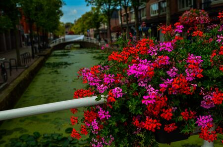 Delft, the netherlands, august 2019. The pretty and romantic canals, smaller than in Amsterdam. The aquatic plants create a green carpet, the bridges frame the flower boxes in warm and bright colors.のeditorial素材