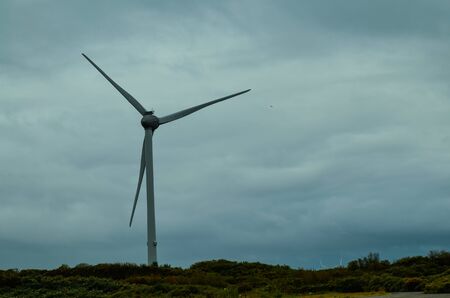 Oosterscheldekering, the netherlands, August 2019. In the Zeeland countryside, wind farms: a...