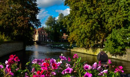 Bruges, Belgium. August 2019. View towards the historic center from the bridge with the Sashuis lock. A planter frames the canal that leads the gaze towards the city. Large green foliage on the sides.のeditorial素材