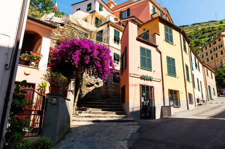 Manarola, Liguria, Italy. June 2020. The charm of the alleys of the seaside village, the houses with colored facades overlook the street. Beautiful summer day.のeditorial素材