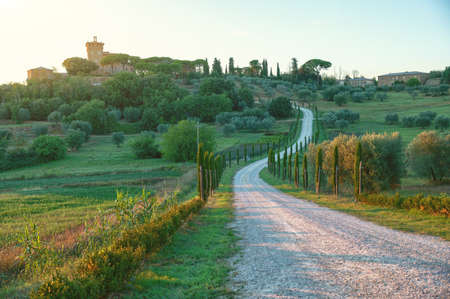Tuscany, Italy, August 2020. An enchanting landscape in the late afternoon, the road lined with cypresses leads to the hill where there is a typical farm of the region. Amazing.のeditorial素材