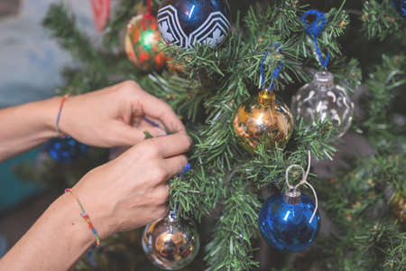 Christmas is coming: preparing the Christmas tree. The hands of a middle-aged Caucasian woman fix the decorations on the branches of the tree.の写真素材