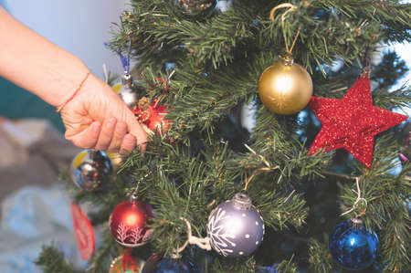 Christmas is coming: preparing the Christmas tree. The hands of a middle-aged Caucasian woman fix the decorations on the branches of the tree.の写真素材