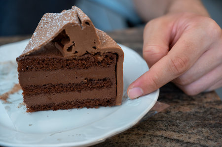 Vienna, Austria, August 18, 2022. Close-up shot of a delicious slice of chocolate cake: a typical...