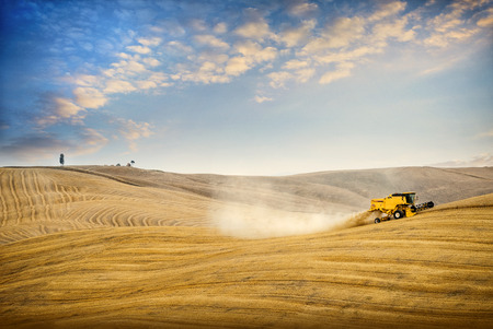 Val D'Arbia, Tuscany. Wheat harvest on the rolling Tuscan hills at sunset. Siena, Italy.の写真素材