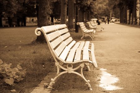 Bench in garden. Photo in old image style. の写真素材