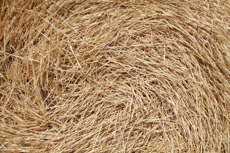 Golden bales in the countrysidの写真素材