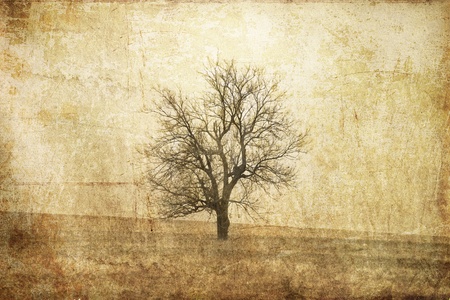 Tree in the autumn field. Photo in old image style. の写真素材