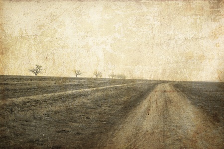 Tree in the autumn field near way. Photo in old image style.の写真素材