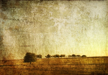 Tree in the summer field. Photo in old image style.の写真素材