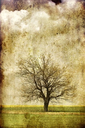 Lonely tree at field.  Photo in old color image style.の写真素材