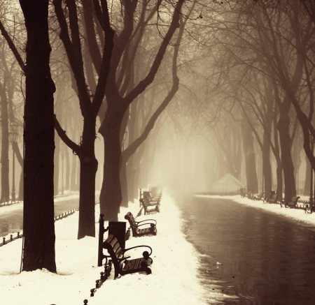 Winter alley in Odessa, Ukraine.の写真素材