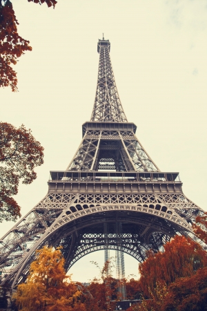 Paris. Gorgeous wide angle view of Eiffel Tower in autumn seasonの写真素材