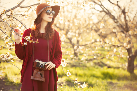 Portrait of a beautiful redhead women in red sweater and hat with camera in blossom apple tree garden in spring time on sunset.の写真素材