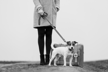 young beautiful woman with suitcase and dog standing on the roadの写真素材
