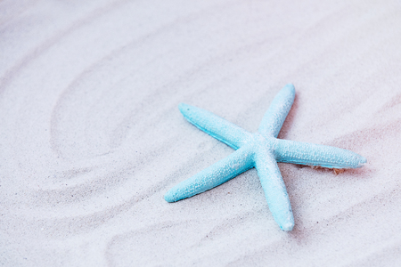 blue starfish lying on the sandの写真素材