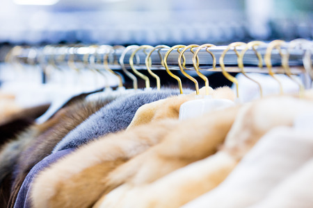 photo of the beautiful fur coats on the hangersの写真素材