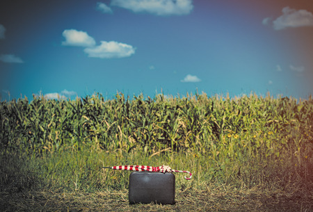 photo of the black suitcase and umbrella in the fieldの写真素材
