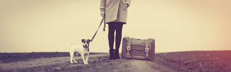 portrait of a young beautiful woman with suitcase and dog standing in the fieldの写真素材