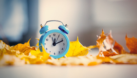 Vintage alarm clock with leaves and bokehの写真素材