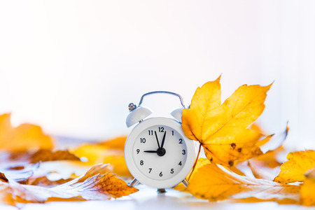 Vintage alarm clock with maple leaves on white background with bokehの写真素材