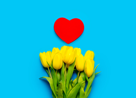 bunch of yellow tulips and beautiful heart shaped toy on the wonderful blue backgroundの写真素材