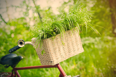 photo of cute helm of bicycle with basket full of green bunch on the wonderful park backgroundの写真素材