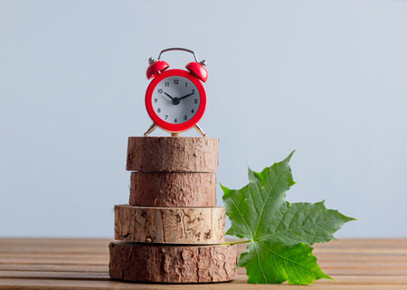 Alarm clock and wooden cut trunk on grey background