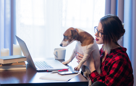 Young businesswoman at home interior with dogの写真素材
