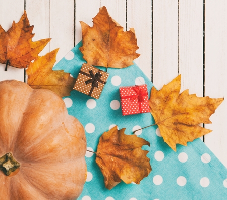 Pumpkin and leafs with gifts on white wooden tableの写真素材