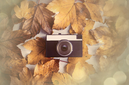Vintage camera with autumn maple leaves on backgroundの写真素材