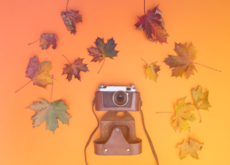 Above view at vintage camera with autumn maple leaves around itの写真素材