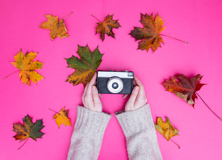 Female hands holding vintage camera around maple leaves on pink backgroundの写真素材