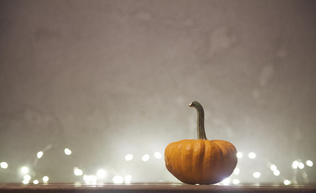 Autumn little pumkin with on Fairy Ligths background. Season Imageの写真素材