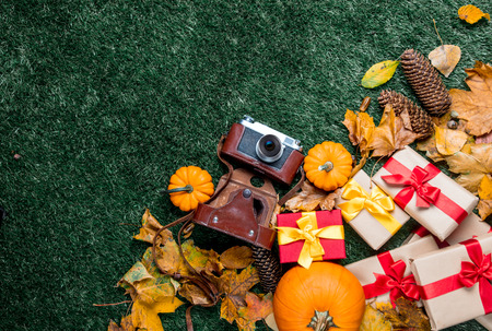 various autumn leaves and orange pumpkins with vintage camera on green grass as background for Halloween Holiday. Above viewの写真素材