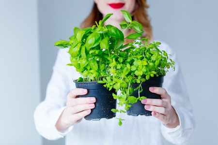 Young redhead woman in hat holding herbs of oregano and basil on grey backgroundの写真素材