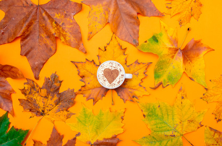 Maple leaves and cup of coffee with heart shape of cream and cinnamon. Above point of view