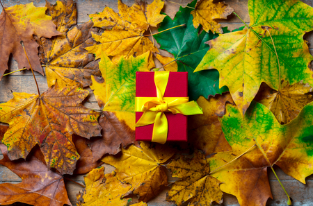 Holiday gift box on maple leaves on wooden background. Above viewの写真素材