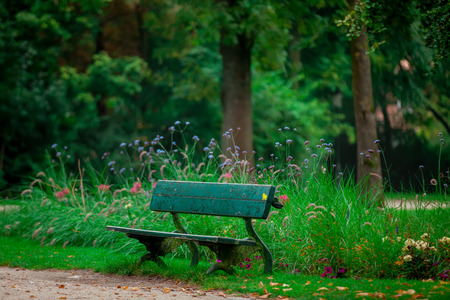 Green wooden bench in the park. Springtime season