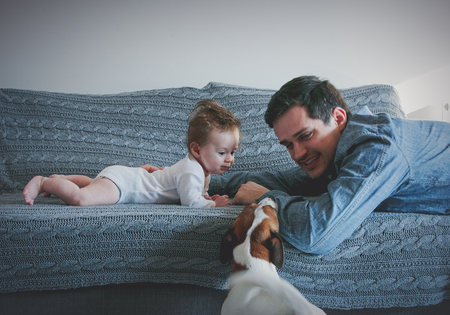Young father and baby boy at home interior with dogの写真素材