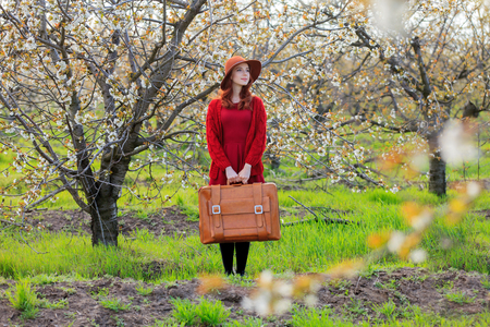 Redhead girl in red clothes with suitcase in blossom cherry garden.の写真素材