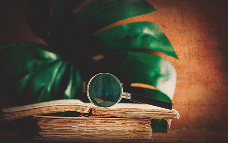 Little magnifying glass and books with palm leaf on backgroundの写真素材