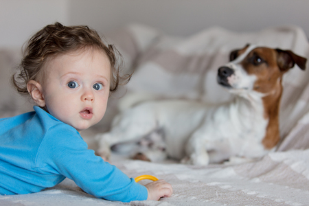 Little baby boy with jack russell terrier sitting on a sofa.の写真素材