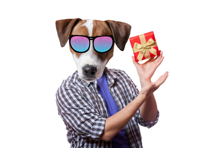 An anthropomorphic dog with present box, white background.の写真素材