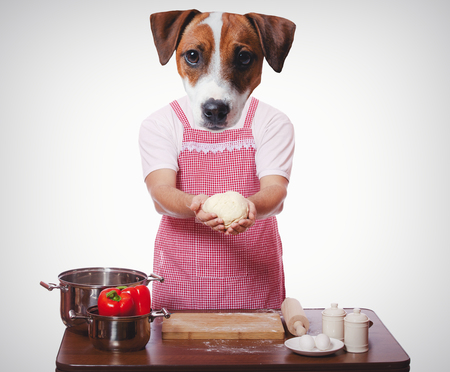 anthropomorphic dog trying to cooking on white backgroundの写真素材